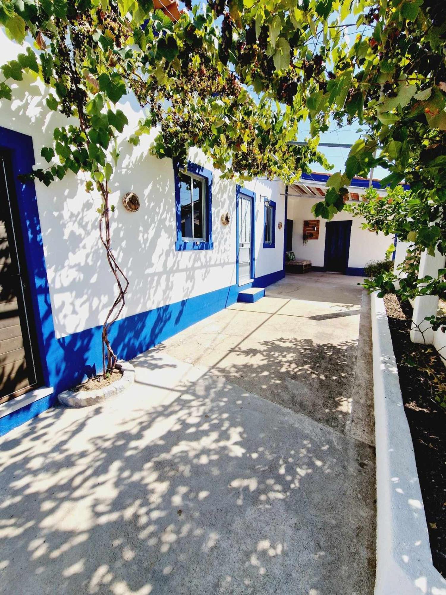 Casa Dos Martelitos Villa Salgueira  Eksteriør bilde