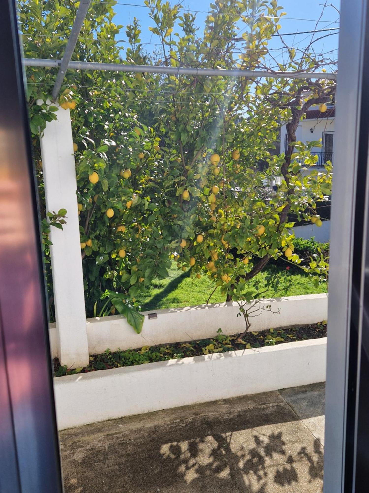 Casa Dos Martelitos Villa Salgueira  Eksteriør bilde